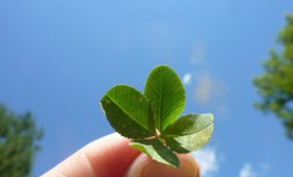 Un Thème des Œuvres #38 : Une chance extraordinaire